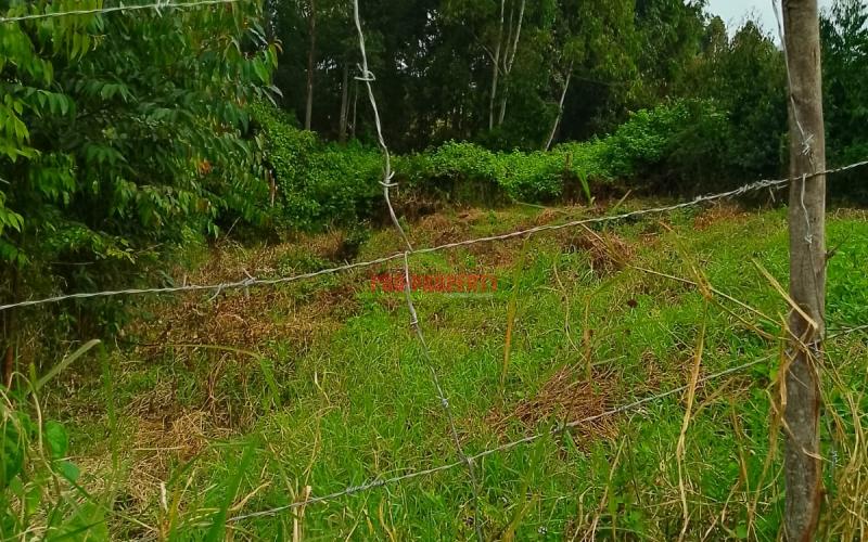 Prime Residential 50 By 100 Plot For Sale