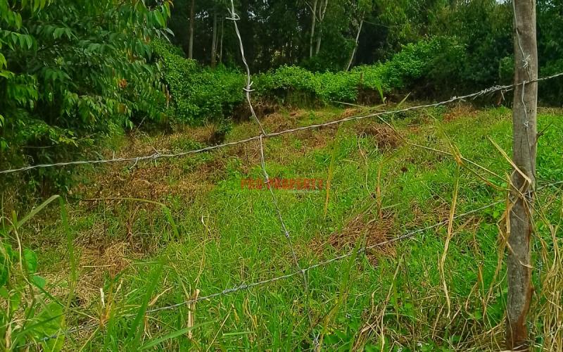 Prime Residential 50 By 100 Plot For Sale