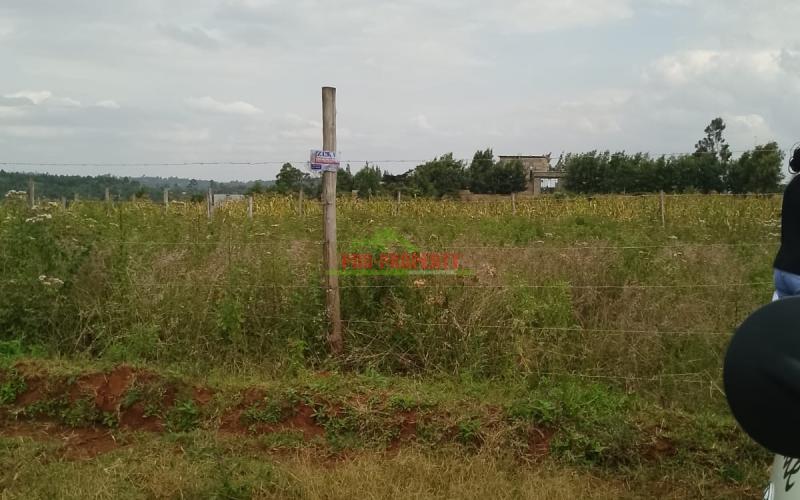 Prime Residential 50 By 100 Plot For Sale