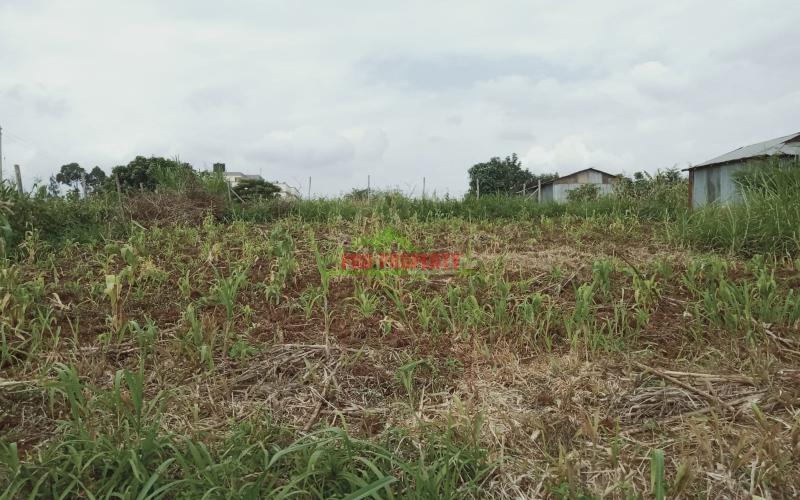 Prime 60 By 100 Residential Plot For Sale In Kikuyu, Kamangu