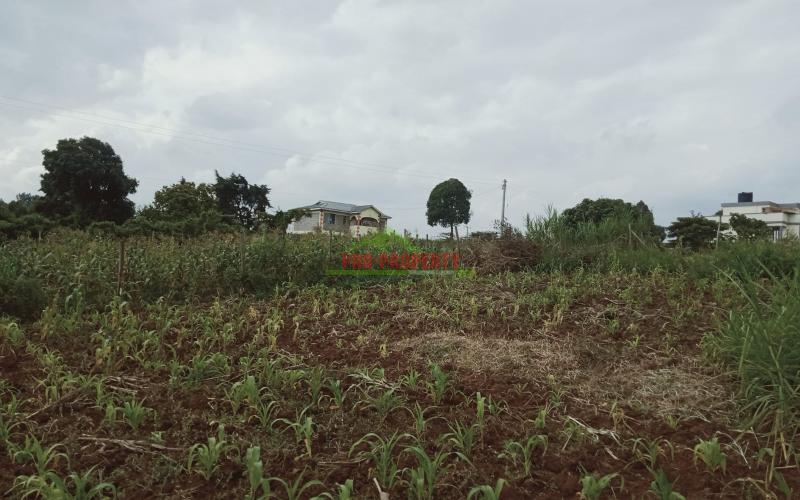 Prime 60 By 100 Residential Plot For Sale In Kikuyu, Kamangu
