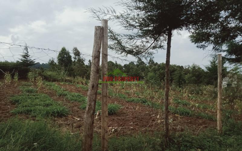 Prime 100 By 100 Residential Plot For Sale In Kikuyu Kamangu
