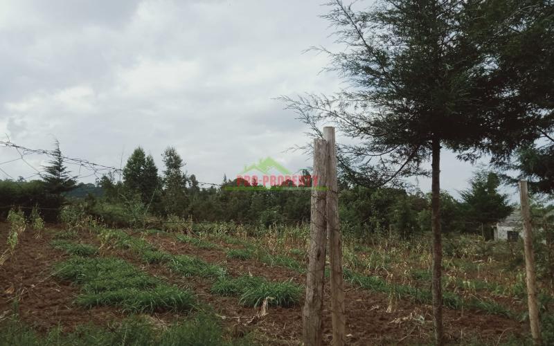 Prime 100 By 100 Residential Plot For Sale In Kikuyu Kamangu