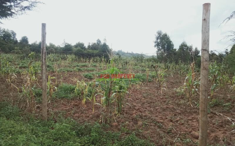 Prime 100 By 100 Residential Plot For Sale In Kikuyu Kamangu