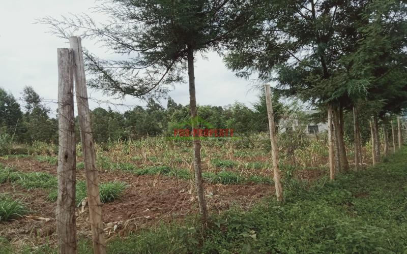 Prime 100 By 100 Residential Plot For Sale In Kikuyu Kamangu