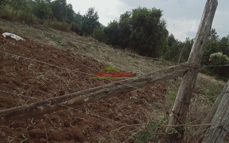 Prime 50 By 100 Residential Plot For Sale In Kikuyu Kamangu Area