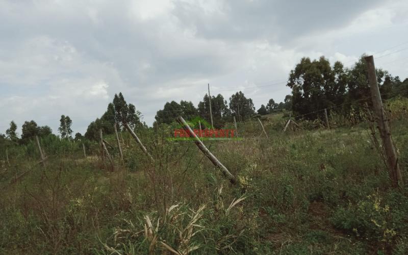 Prime 50 By 100 Residential Plot For Sale In Kikuyu Lusingetti