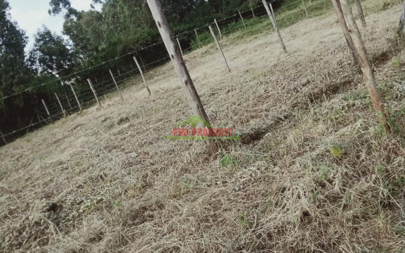 Prime 50 By 100 Residential Plot For Sale In Kikuyu Gikambura