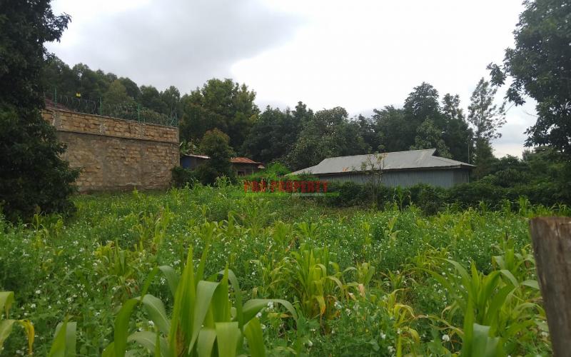 Prime residential  50 by 100 plots for sale in Gikambura