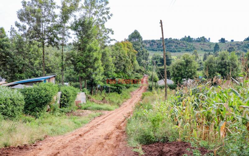 Affordable Residential Plots For Sale In Kikuyu Rose Gate (nachu)