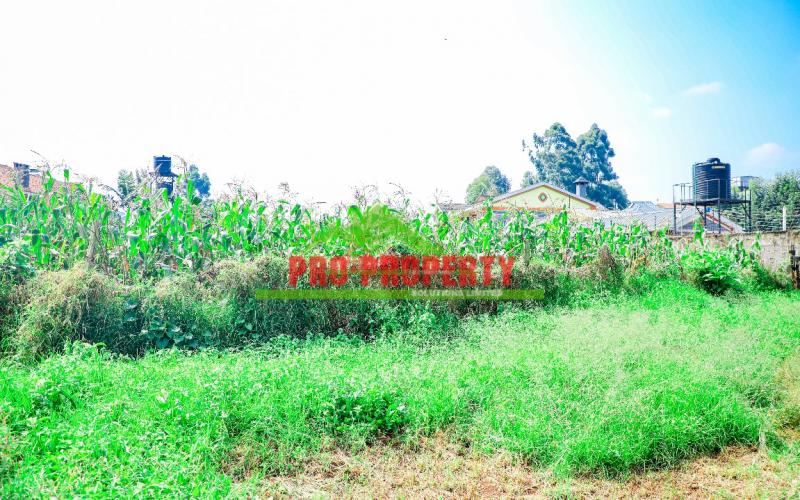 Prime Residential 100 By 100 Plot For Sale In Sigona, Zambezi