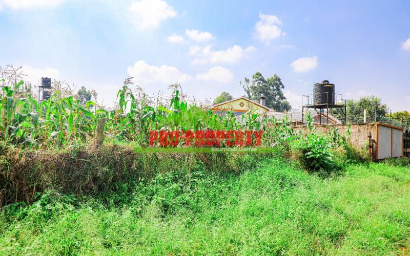 Prime Residential 100 By 100 Plot For Sale In Sigona, Zambezi