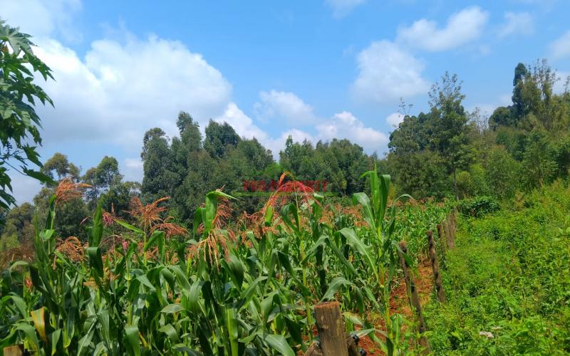 Prime Residential 50 By 100 Plots For Sale Along Ondiri Road