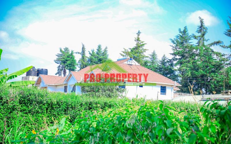 Prime Residential 100 By 100 Plot For Sale In Sigona, Zambezi