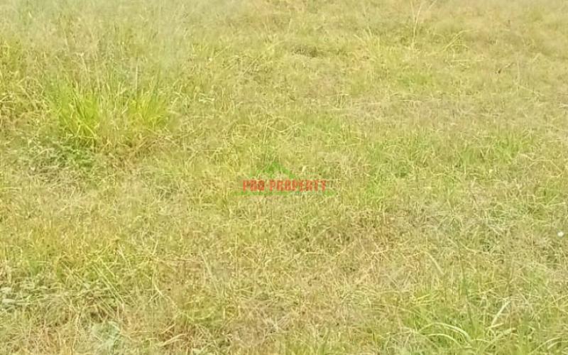 Prime Commercial 50 By 100 Plot For Sale In Ruaka, Ndenderu