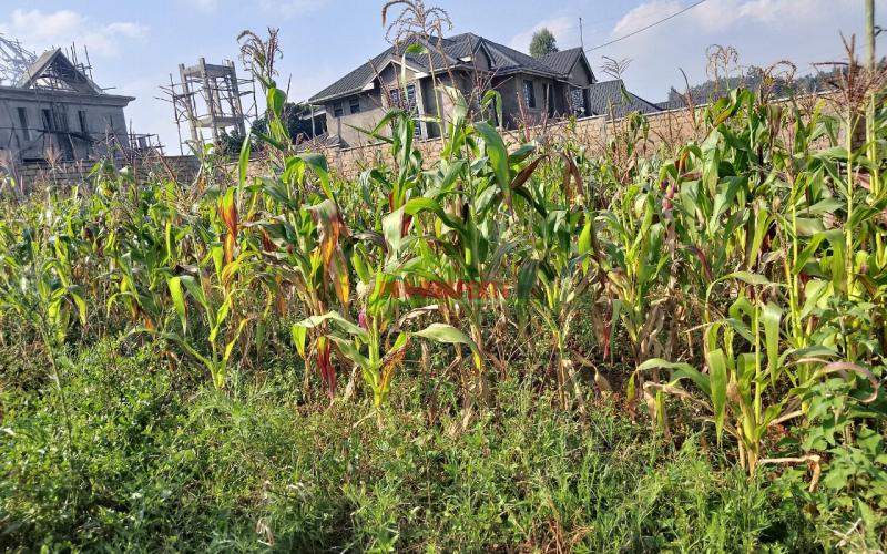 Prime Residential 60 By 100 Plot For Sale In Gikambura