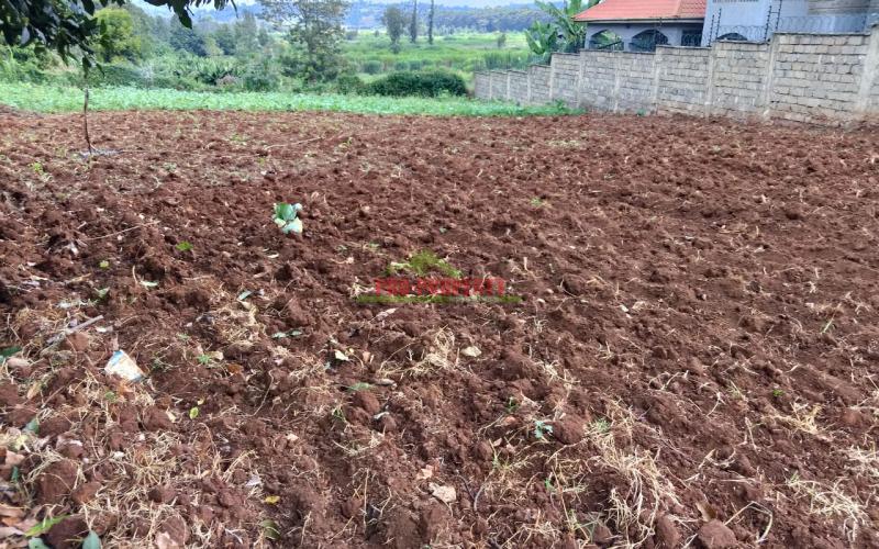 Prime Residential 100 By 100 Plot For Sale In Ondiri, Kikuyu