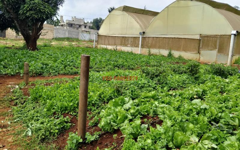 Prime Residential 100 By 100 Plot For Sale In Ondiri, Kikuyu