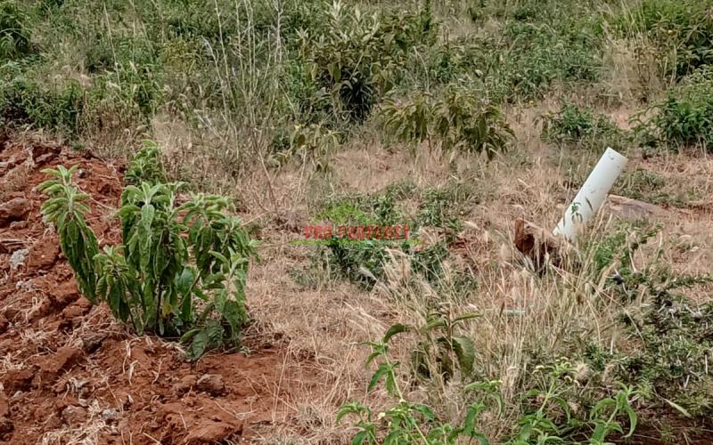 Prime Residential Plot For Sale In Kikuyu, Kamangu,nachu