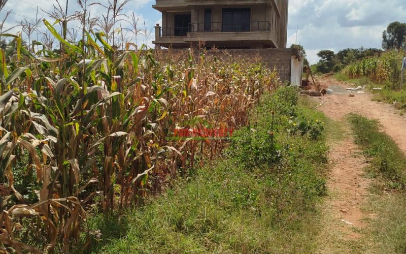 Prime 40by80ft Plot For Sale In Kikuyu ,gikambura