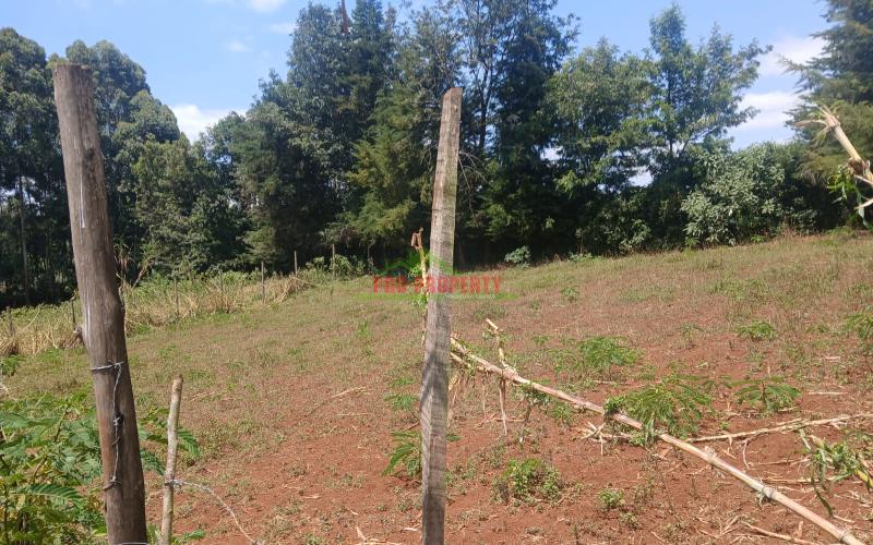 Prime Residential  50 By 100 Plots For Sale In Kikuyu