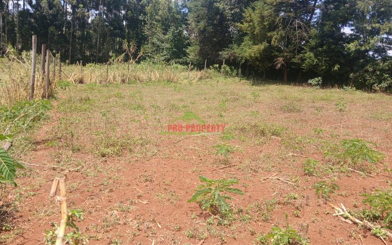 Prime Residential  50 By 100 Plots For Sale In Kikuyu