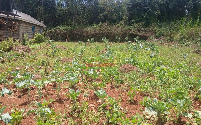 Prime Residential 50 By 100 Plots For Sale In Migumoini, Kikuyu