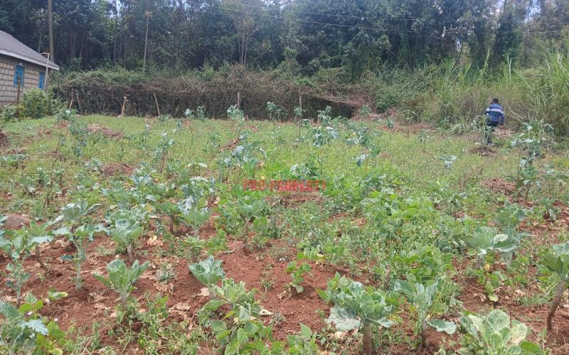 Prime Residential 50 By 100 Plots For Sale In Migumoini, Kikuyu