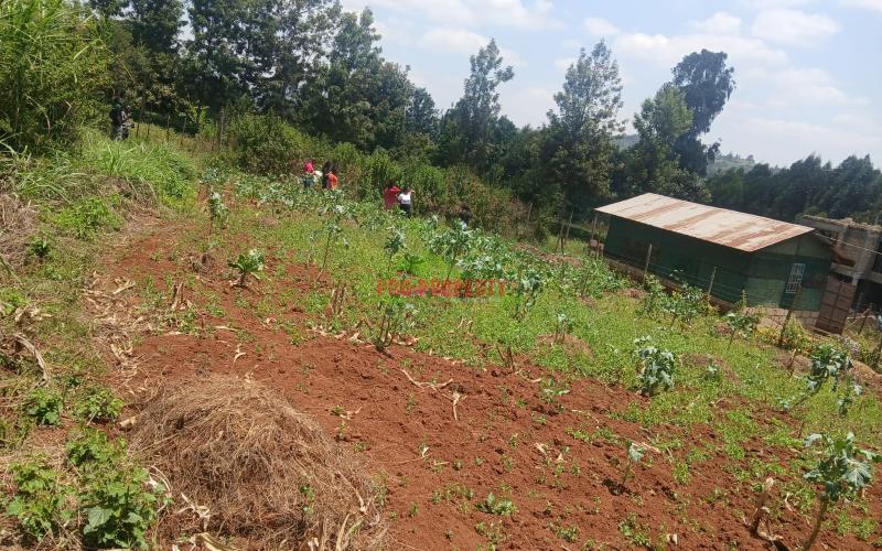Prime Residential 50 By 100 Plots For Sale In Migumoini, Kikuyu