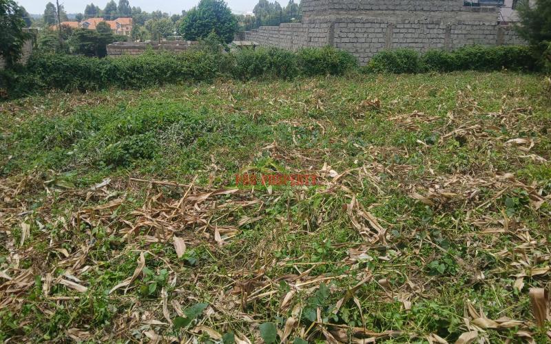 Prime Residential  50 By 100 Plots For Sale In Gikambura