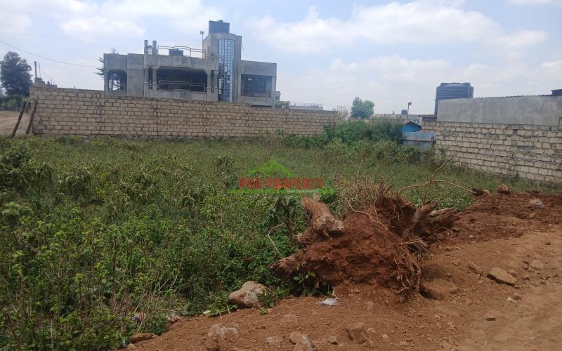 Prime 50 By 100 Touching Tarmac Plot For Sale Along Jambu Tv