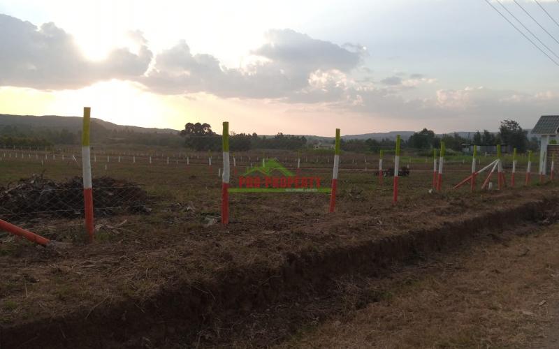 Prime 50*100 Plots For Sale In Kikuyu -rosegate Nachu.