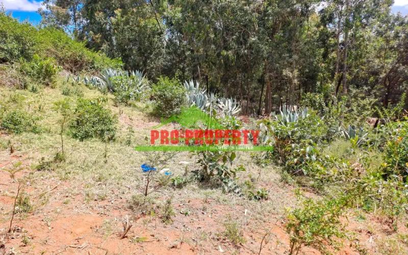 Prime 50*100 Residential Plot For Sale In Kikuyu, Mai-a-ihii