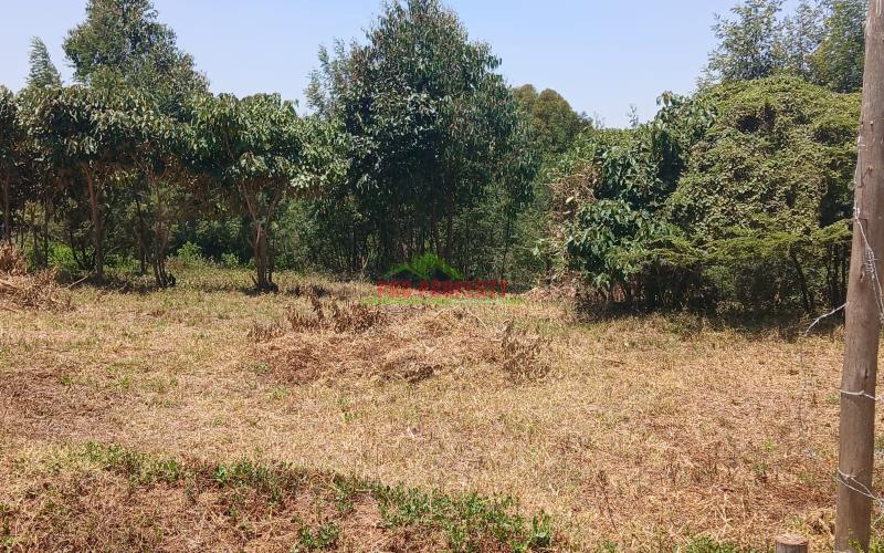 Prime 50*100 Residential Plot For Sale In Kikuyu-kamangu.