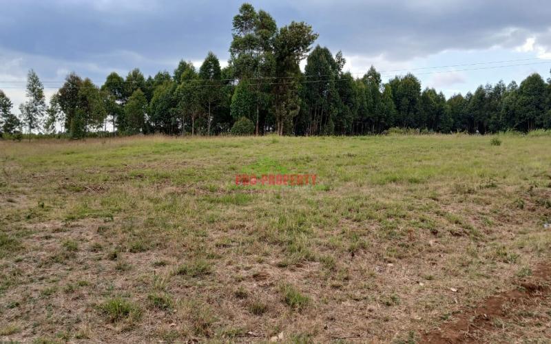 Prime 50by100ft Residential Plot For Sale In Kikuyu, Kamangu