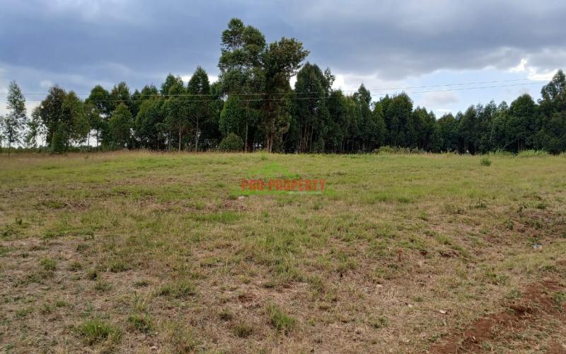 Prime 50by100ft Residential Plot For Sale In Kikuyu, Kamangu