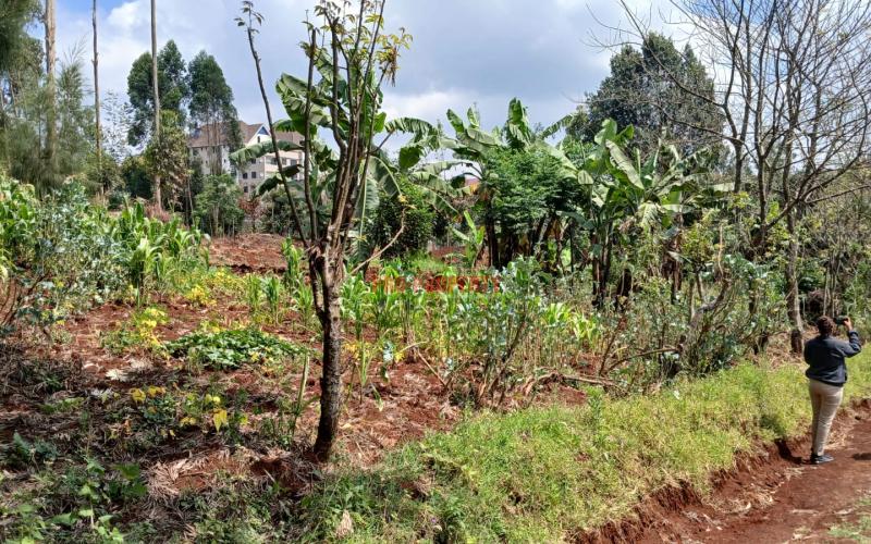 Prime 70by100ft Plot For Sale In Kikuyu, Gitaru