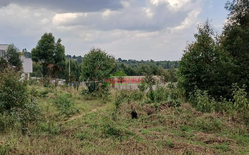 Prime Residential Plots For Sale In Kamangu.