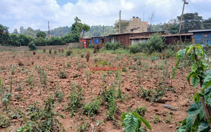 Commercial 50by100ft Plot For Sale In Kikuyu, Lusingetti