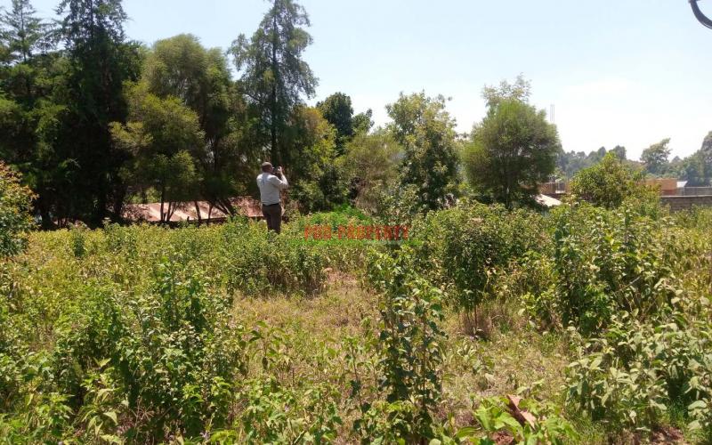 Prime 50*100 Plots For Sale In Kikuyu Mígumoiní