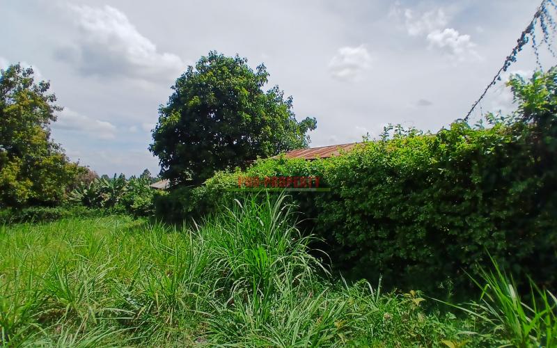 Prime  50 By 100ft Commercial Plot For Sale In Kikuyu,muthure Area