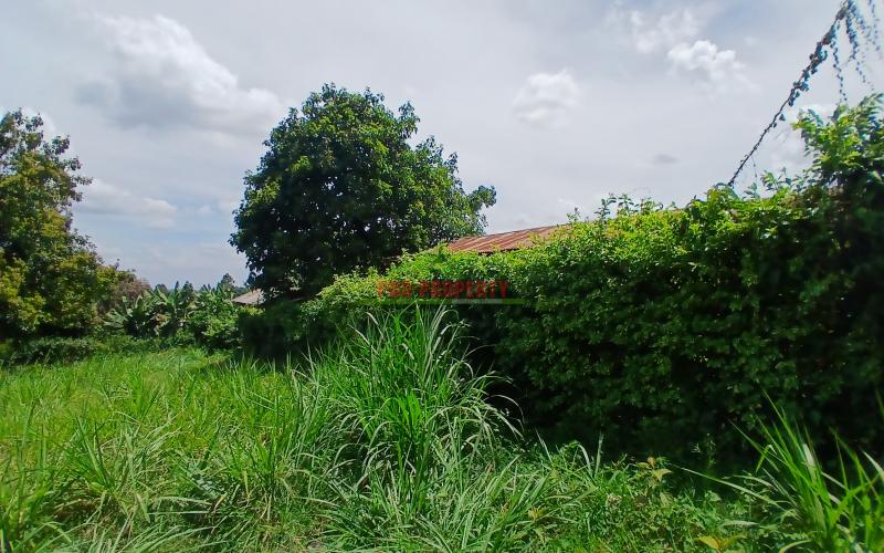 Prime  50 by 100ft commercial plot for sale in KIKuyu,Muthure area