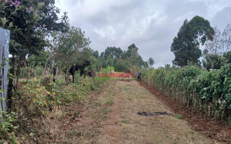 -prime 50by100ft Residential Plot  For Sale In Kikuyu, Migumuini.