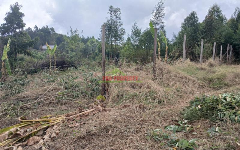 -prime 50by100ft Residential Plot  For Sale In Kikuyu, Migumuini.
