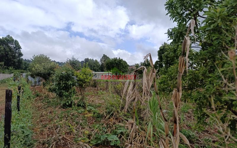 -prime 50by100ft Residential Plot  For Sale In Kikuyu, Migumuini.