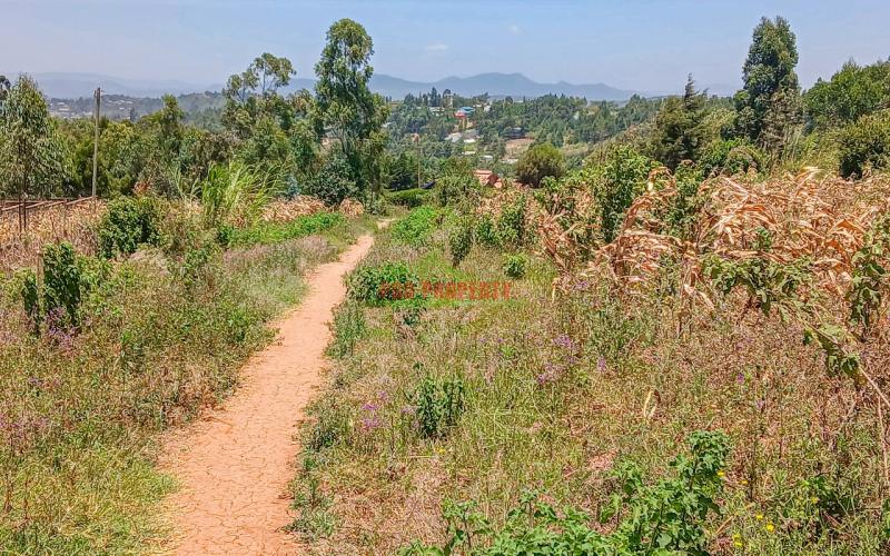 Prime Residential Plot For Sale In Kikuyu, Kamangu.