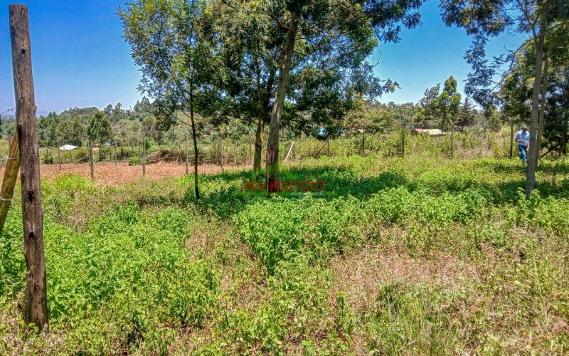 Prime Residential Plot For Sale In Kikuyu, Kamangu.