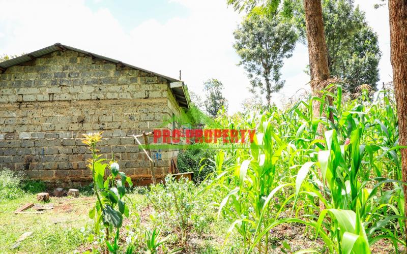 Prime Commercial 50 * 100fts Plot For Sale In Ruaka, Mucatha