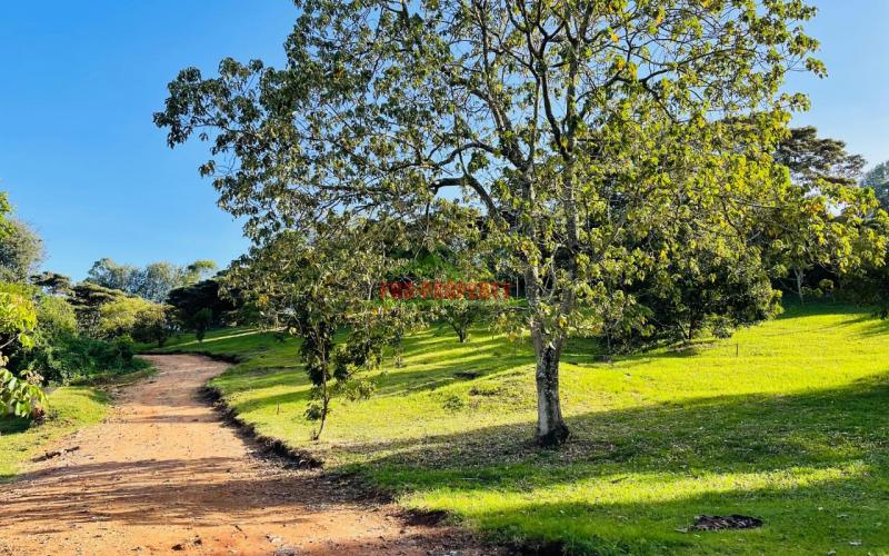 Ready To Build 100 By 100 Ft Prime  Residential Plots For Sale At Tulivu Estate In Ngong, Kajiado - With Ready Title Deeds