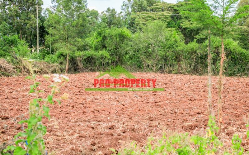 Prime Residential 1/2 Acre Plot For Sale In Lusingetti,kikuyu